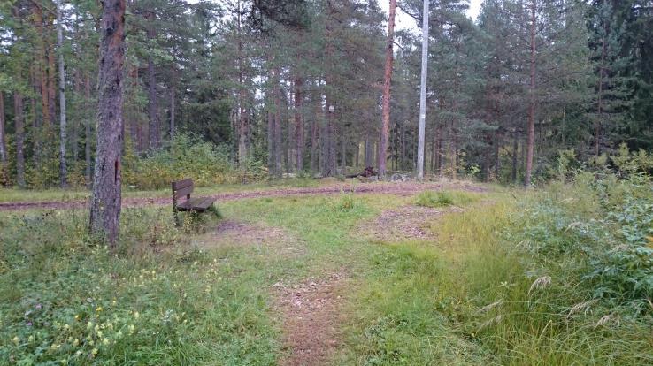 kivituhkapäällysteinen ja toinen puoli nykyisenkaltaista pururataa.