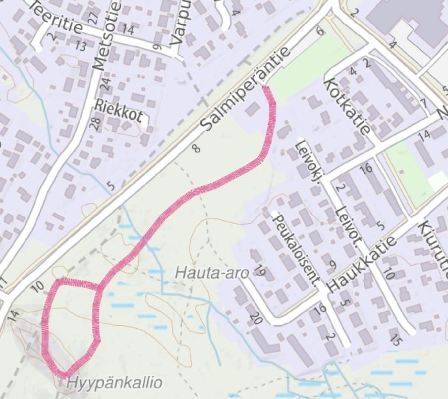 kalastuspaikka Houkutteleva puistomainen kulkuyhteys Koskipuhdontieltä puistoalueelle Puiston ympäristöön lyhyt esteetön kävelyreitti