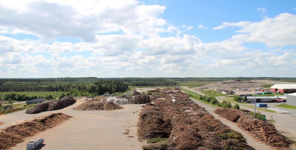 Maakunnallisesti merkittävät bioenergia- ja