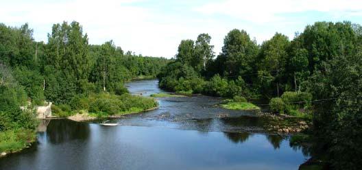 Kallio ja maaperä Koskenkorvan suunnittelualueella kallioperä on pääasiassa migmaattista biotiittiplagioklaasigneissiä, joka on kovaa, hapanta ja ravinnevaikutuksiltaan heikkoa.