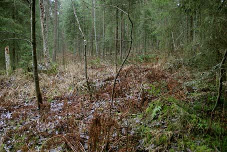 Santavuoren alue on merkittävä virkistyskohde ja alueella on retkeilyreitistön polkuja ja taukopaikkoja. Näkötorni on rakennettu v. 1965. 2.