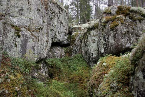 Sen alta alkaa rehevä saniaiskorpi, jonka alussa kasvaa jonkin verran kotkansiipeä. Samalla oja alkaa muodostaa oman purouoman.