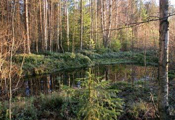 Kyseessä lienee limoniitin kaivuualue mahdollisesti 1800 luvulta tai aiemmin. Mineraalimaa alueella on hyvin rautapitoinen ja osa kalliosta ruosteinen.