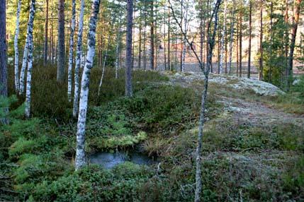 13. Salonvuorelta koilliseen oleva lähde Lähde on kapeassa, pienessä kalliopainanteessa, joka on soistunut erityisesti lähteen länsipuolelta. Tällä kohtaa on pieni isovarpuinen räme.