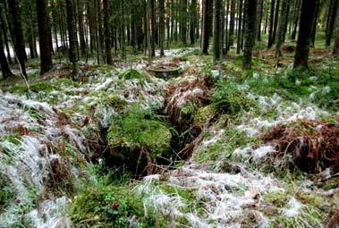 16. Santavuoren pohjoispuolen lähdejuotti Santavuoren taitse Varpahaiskylään menevän tien koillispuolella sijaitsee varjoisassa kuusikossa, melko jyrkässä rinteessä märkä juotti, jossa on useita