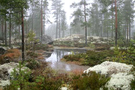 19. Santavuorelta lounaaseen oleva lähde Jyrkähkön rinteen pienellä kostealla, osin märällä, poikkitasanteella oleva lähde sijaitsee Kurikan rajan tuntumassa.