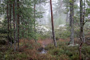 (Olavi Yli Vainio 2011). Santavuoren kalliolampareet (Olavi Yli Vainio 2011). 21.