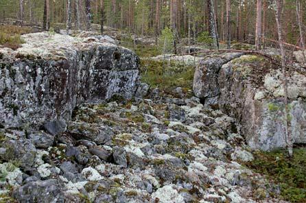 virtaa maanalainen puro, jonka solina kuuluu selkeästi. Hiidenkirnualueesta itäänpäin on tervaleppäsuonotkelma, jonka keskellä on lampi.