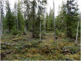 Kohteen länsipuolella on kapea soistuma alue, josta länteen kohoaa Santavuoren rinne ja hieman etäämpänä Santavuoren eteläpuolinen muinaisranta.