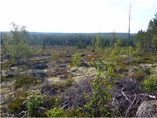Inventointikohde 16 Kohteen lounais ja länsipuolella sijaitseva Pikku Santavuoren luonnontilainen lakialue on pääosin metsälain 1093/1996 3 luvun 10 :n mukainen tärkeä elinympäristö.