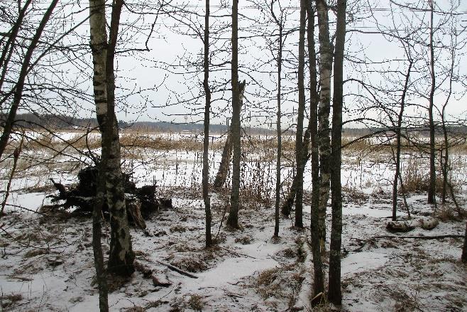 Puut, pensaat ja kasvillisuus odottavat harmaanruskeina heräämistä kevään ja kesän väreihin. Lähden kierrokselle Nesteentien P-alueelta. Aluksi on kuljettava pyörä-, kävelytietä.