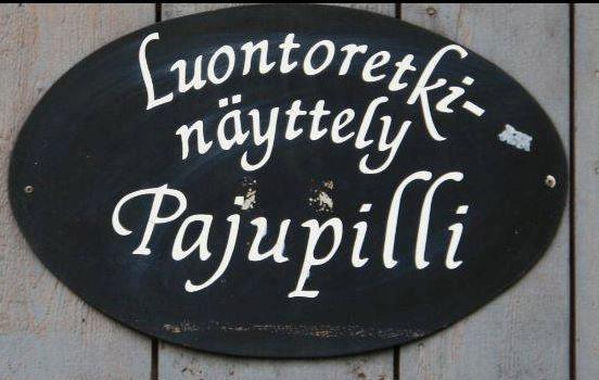 Luontoretkinäyttely Pajupilli sijaitsee Raisiossa Friisilän verstaiden alueella, osoitteessa Hulvelankatu 35, Raisio.