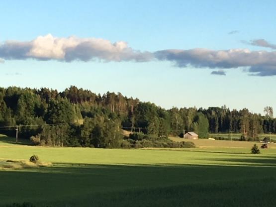 YHTEENVETO: Ilmastonmuutokseen varautuminen ponnistaa maasta ja kasvien kasvusta Välttämättömät