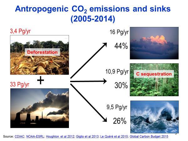 Mitä hiilidioksidille tapahtuu?