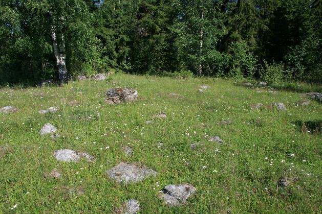 KEDOT ELI KUIVAT NIITYT Paahteisia rinteitä, hiekkaisia, kivisiä Ruoho- tai heinävaltaisia