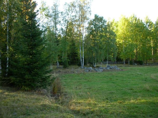 HAKAMAAT Laidunten keskellä tai reunoilla Lehtipuu-, havupuu-,