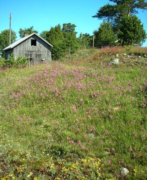 EU:n luontodirektiivin raportointi EU:lle joka 7. vuosi tehtävässä raportoinnissa todettiin v. 2013, että lähes kaikilla arvioiduilla perinnebiotoopeilla suojelun taso on riittämätön.