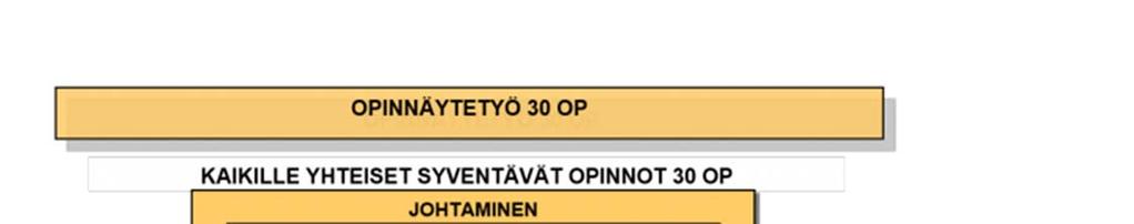 Koulutusohjelman rakenne, sisältö ja laajuus