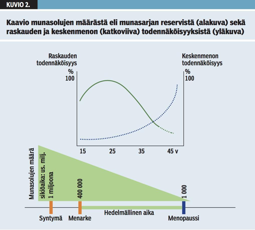 hedelmällisyydelle