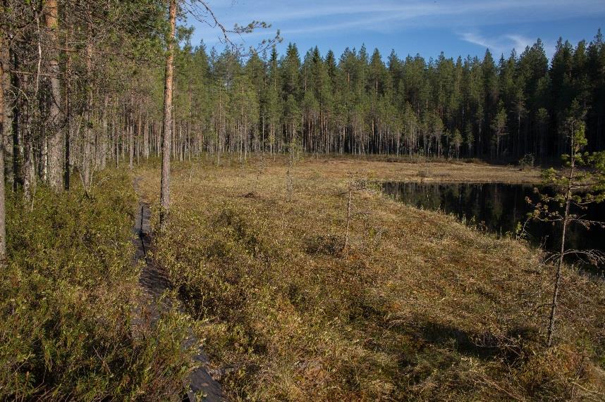 Kuvat: Sini Malminiemi Kuva 2.