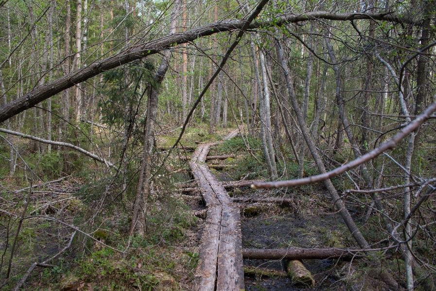 ovat olleet erittäin huonossa