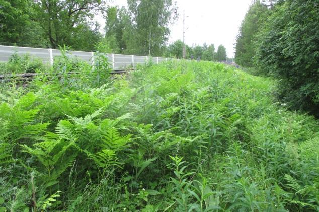 Pohjoispuolelta sisältyy selvitysalueeseen pieniä osia rakennettua ympäristöä ja reunametsiköitä.