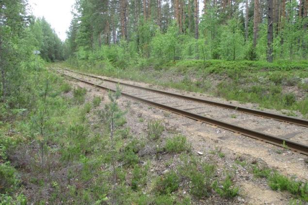 Tummatulikukka ja päivänkakkaroita valtatien rampin reunassa ja rehevää kasvillisuutta radan pohjoispuolella koillisosassa. Kemiran alue. Kemiran tehdasalue on rakennettua ympäristöä.