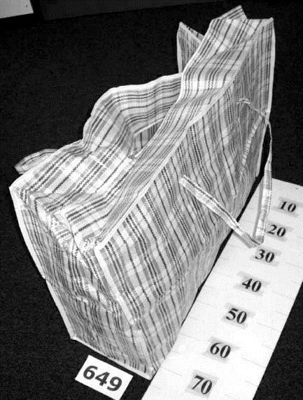 4202 92 19 Kassi, valmistettu alle 5 mm:n levyisistä polypropeenikaistaleista kudotusta kankaasta, muodoltaan kuutiomainen, likimääräiset mitat 54,5cm 74 cm 25 cm, kaksi samasta kankaasta