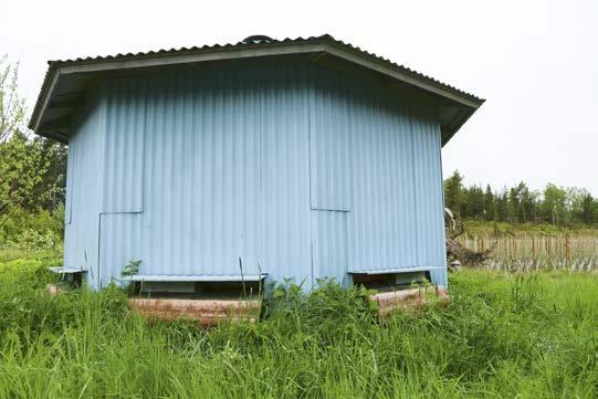 Lähes kaikissa omenatarhoissa käytetään mehiläisiä varmistamaan pölytyksen onnistuminen.