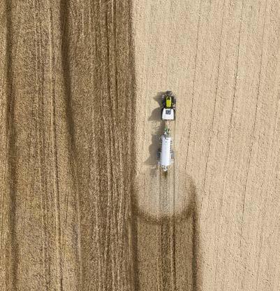harvest.