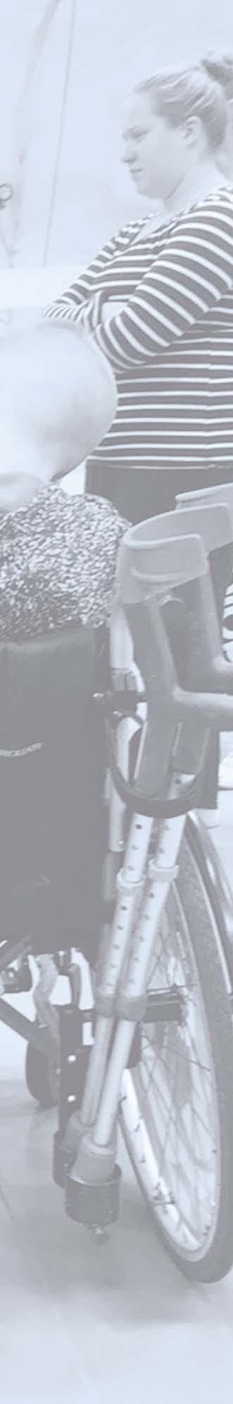 Yhteistyöoppilaitokset ovat pääasiallisesti ammattikorkeakouluja, mutta mukana on myös yliopistoja ja muita oppilaitoksia, kuten urheiluopistoja.