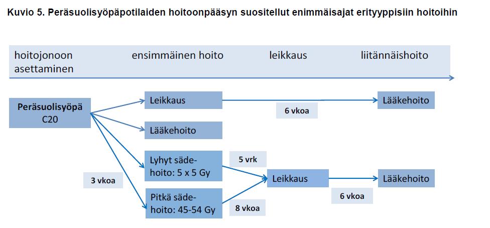 Hoitoonpääsyn seuranta syövän hoidossa Määrittelyt ja ohjeistus Voimassa 1.