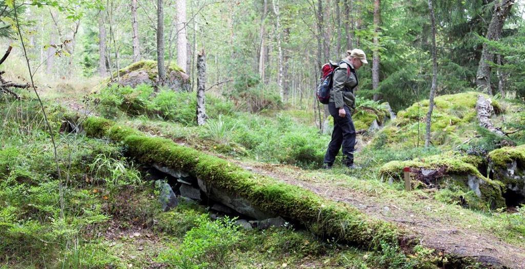 Vetovoimainen ympäristö Monipuolinen ympäristö viheralueineen, luonnonvaroineen ja kulttuuriympäristöineen on maakunnan merkittävä voimavara, joka vahvistaa alueen vetovoimaisuutta niin asukkaiden,