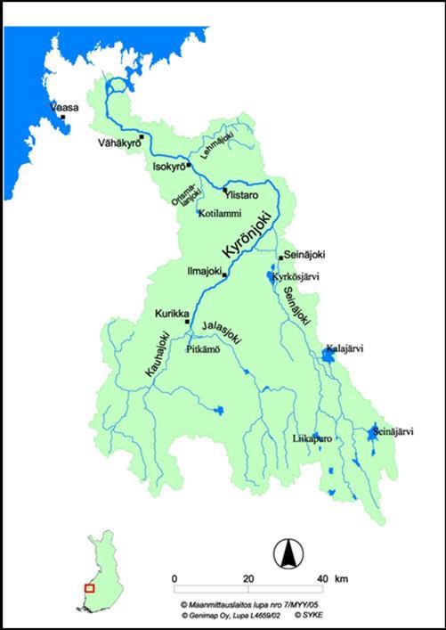 Hapettumisen seurauksena maaperästä vapautuneen happamuuden ja metalleista erityisesti alumiinin huuhtoutuminen vesistöön aiheuttaa toisinaan kalakuolemia (esim. Hudd ym. 1997, Lax ym. 1998).