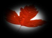 23 Wed. 26 Sun. 30 9:00 a.m Jumalanpalvelus 11:00 a.m. English Worship Service 7 p.m. Freedom Reigns Night 11:00 a.m. Memorial Service for Sylvia Soderstrom 9:00 a.m. Ehtoollisjumalanpalvelus 11:00 a.