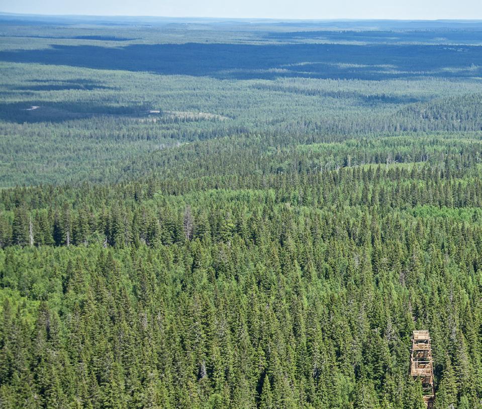 Matkailu on valittu yhdeksi Kainuun kehittämisen kärkiteemoista. Matkailustrategian laadinta aloitettiin maakuntahallituksen päätöksellä 17.8.