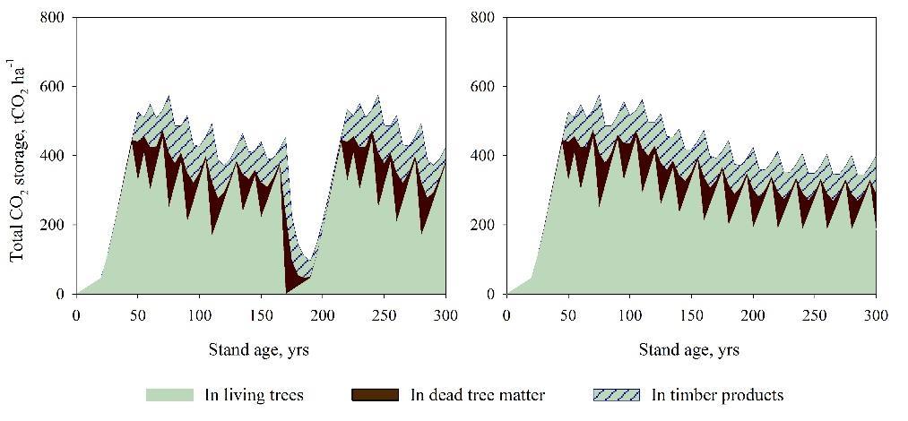 puutuotteissa hiilen hinnan kasvattaminen lykkää harvennuksia kohdistaa harvennukset suurimpiin puihin sekä kasvattaa tukkipuun osuutta puuntuotoksesta pidentää