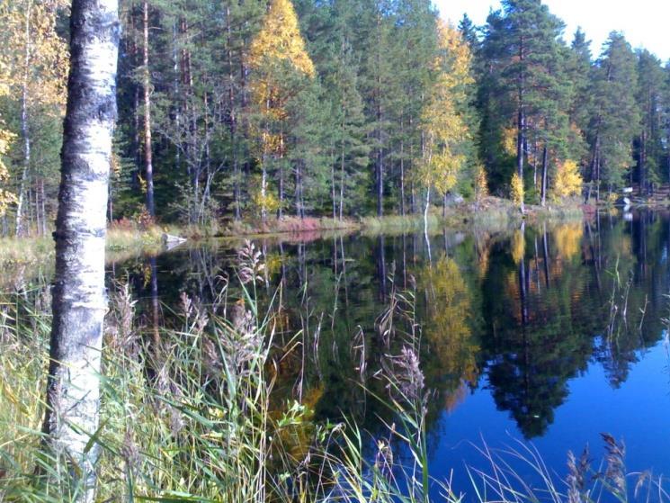 Syysretki luontoon kevätretki kulttuurin pariin