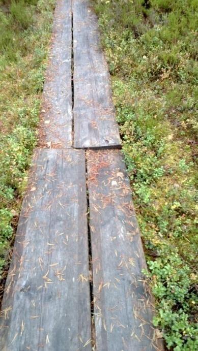 kulttuurikohteisiin Toiminnalliset retket ja tehtävät