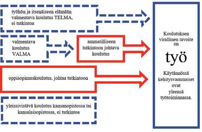 Opiskelusta työhön Alla on kuvio, joka kuvaa koulutusta ennen työllistymistä. Punaisissa laatikoissa ovat koulutukset, joihin kuuluu tutkinto.