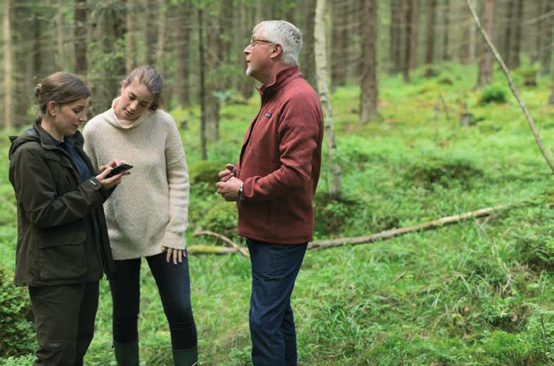 PUUKAUPPAA JA METSÄPALVELUITA Tarjoamme metsänomistajalle parhaan tavan kartuttaa kestävästi metsään perustuvaa varallisuutta.