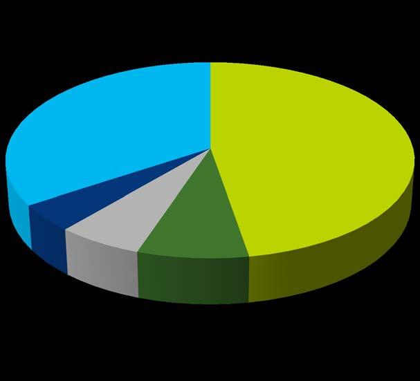 Nettirikokset, Oulun poliisilaitos 2017, 1827 kpl Petos