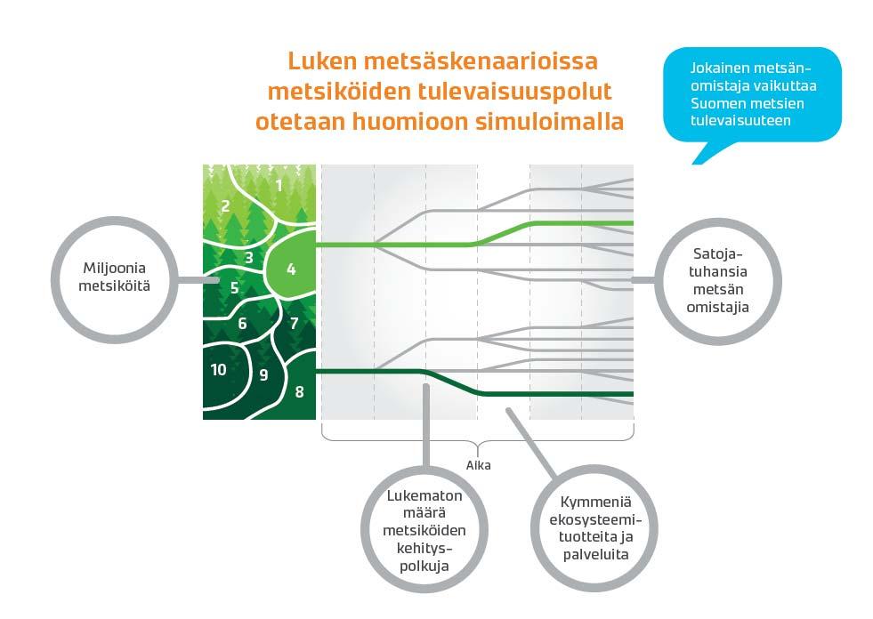 Ns. vapaan tyylin metsänhoito on haaste myös muulle tutkimukselle MELA:ssa on teoreettinen ja tekninen ratkaisu monimuotoisten operaatioiden tapauskohtaisiin vaihtoehtolaskelmiin. Tulossa on mm.