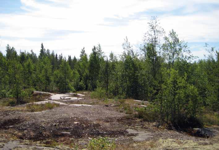 Ympäristön nykytila ja tehdyt selvitykset Luonnonolot Kuva 6 5.