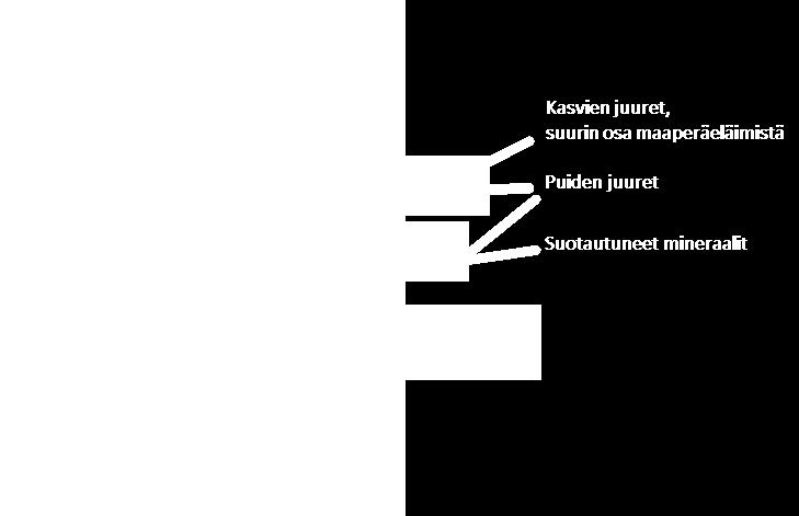 yhteys ihmisravinnon tuotantoon - tarjota ravinteita ja vettä kasveille - toimia vesivarastona (vrt.