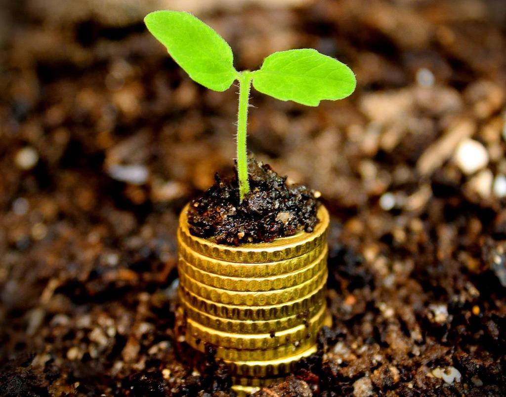 Puutarhatalous yritykset ovat rahoituksessa osa maatalouden alkutuotantoa Kasvien viljelyn