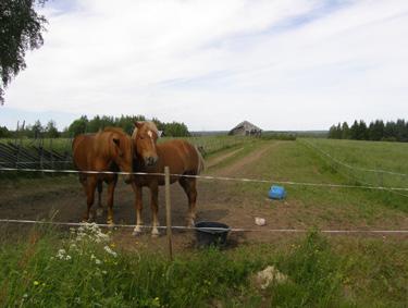 Vaarakylistä muodostetaan donitsin omainen maisema-alue, joka katkeaa Ilomantsinjärven kohdalla.