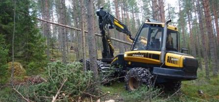 Mitta- ja laatuvaatimukset sekä katkonta Katsotaan että hakataan mitä on sovittu, etenkin erikoispituudet kannattaa varmistaa kuskilta ennen kuin hakkuu alkaa Koneelle tullut ohje hakattavista