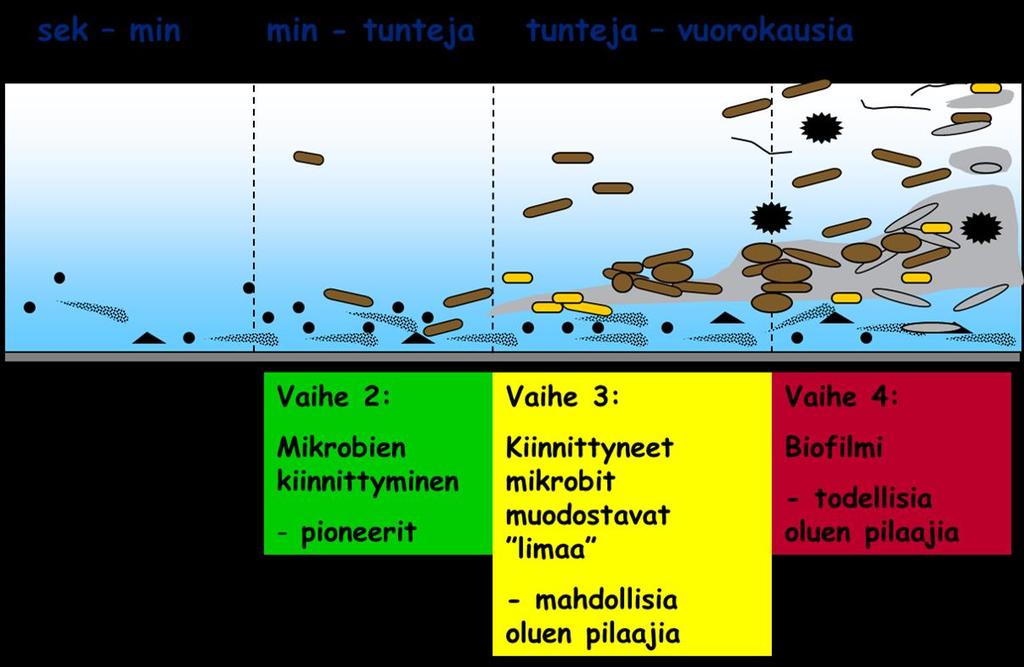 Muutamia tuloksia eri tutkimuksista