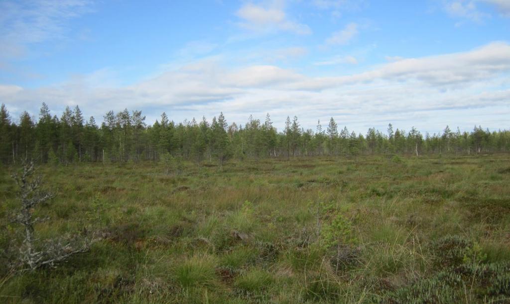 poistettu kyseisestä laista ja se puuttuu myös lain nykyisestä seuraajasta, kestävän metsätalouden määräaikaisesta rahoituslaista.